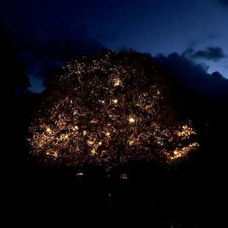 Rurseeblick Айнрур